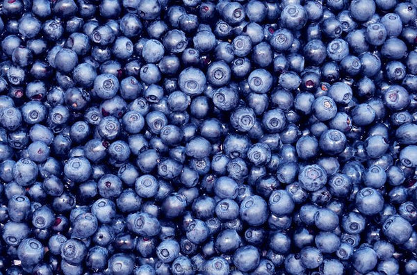 Blueberry (Fresh) - Super Aromas
