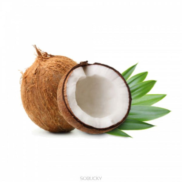 Palme Coco (MB) - SSA