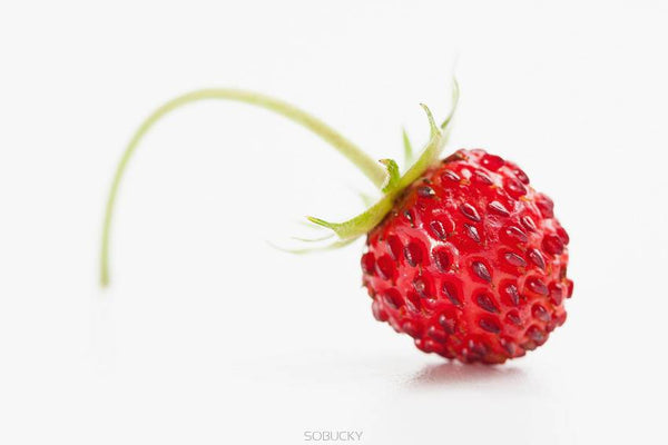 Wild Strawberry - Super Aromas
