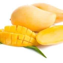 Philippine Mango - TFA