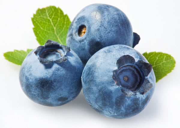 Blueberry (Extra) - TFA