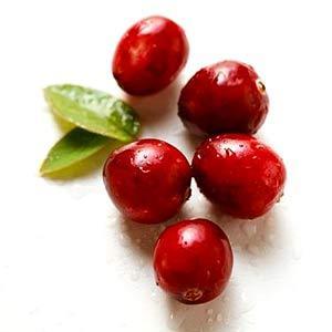 Cranberry - TFA