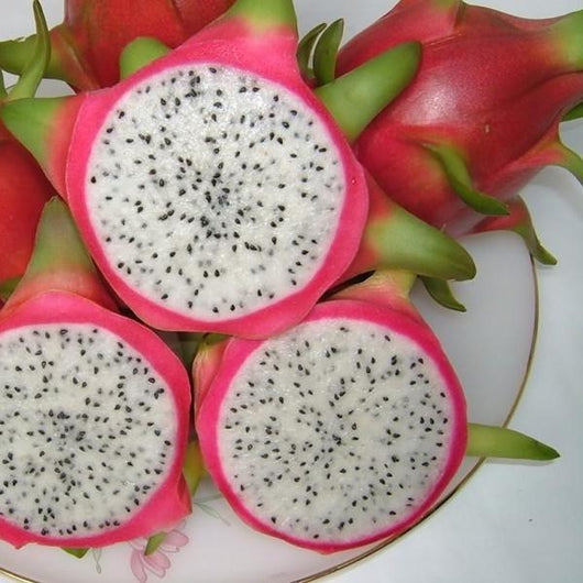 Dragonfruit - TFA