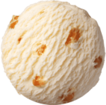Hokey Pokey Ice Cream - VTA