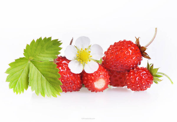 Natural Wild Strawberry - Super Aromas